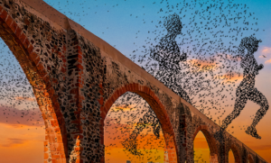 Querétaro Maratón 2026