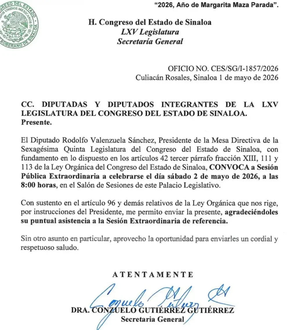 rocha licencia