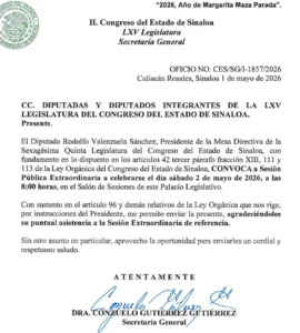 rocha licencia