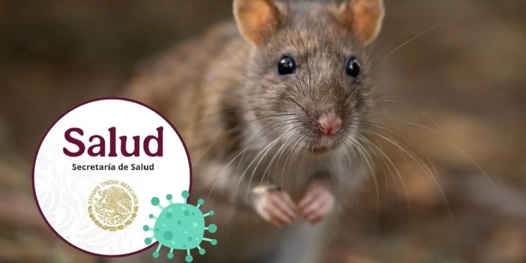 Secretaría Salud México Hantavirus