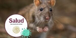 Secretaría Salud México Hantavirus