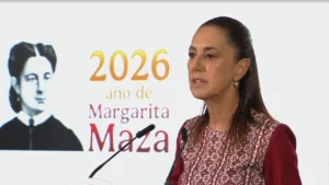800 millones shein