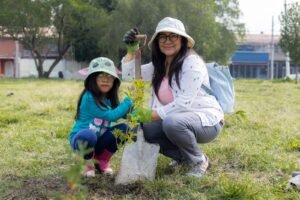 Borrartest (4)
