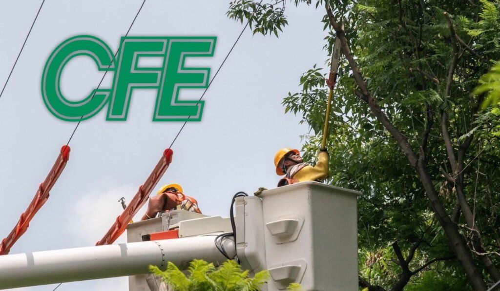 CFE