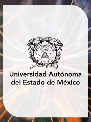 BaNNER UAEMex jun