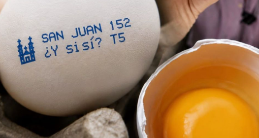 ¿Y si sí?
