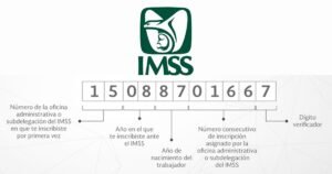 Trabajadoras hogar México IMSS