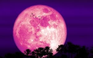 Luna de Fresa