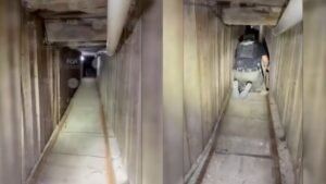 TUNEL