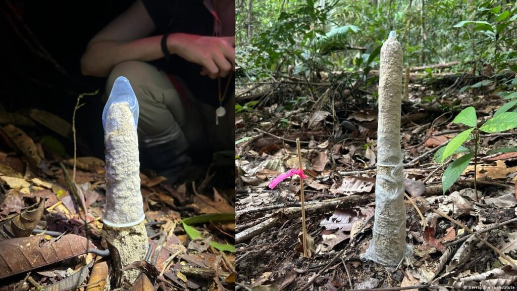condones torres barro Amazonas
