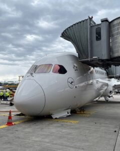avión Boeing 787 colapsa