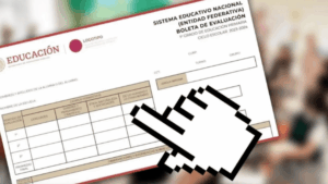 boletas
