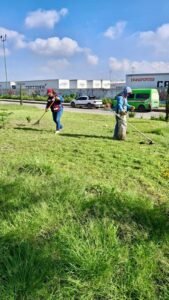 borrartest