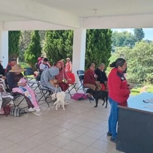borrartest