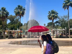 estrés por calor