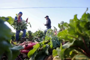 En México aún hay 21.6 millones