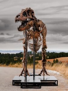 Gus T-Rex