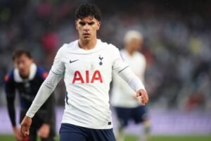 Mateus Fernandes Tottenham Sidney
