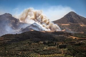 Olas calor desatan incendios
