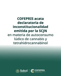 Borrar test