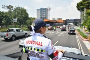 borrartest