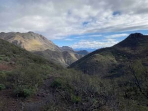 borrartest (241)