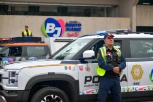 borrartest