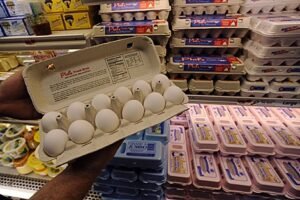 brote Salmonella Estados Unidos