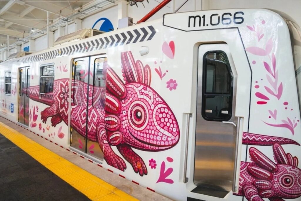 cortes Tren Ligero
