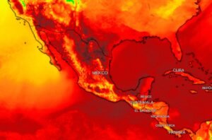 decesos ondas de calor