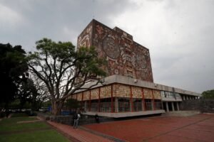 image (11)