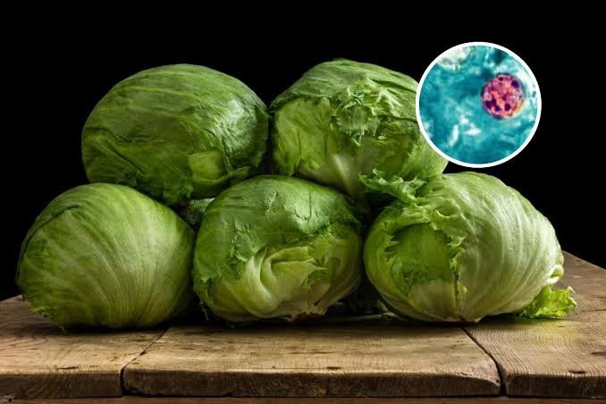 lechuga mexicana en Taco Bell