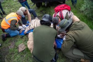 muerte Kenzo tigre Bengala