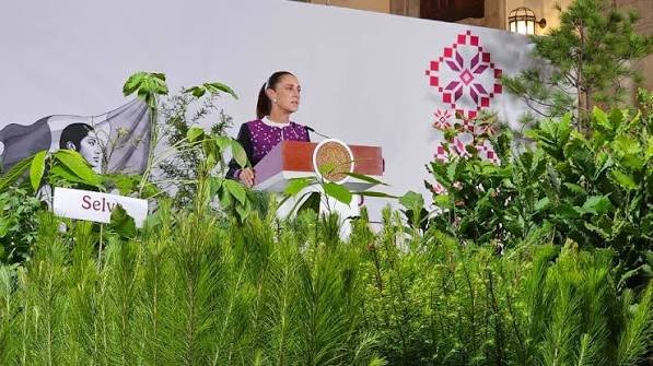 Jornada Nacional de Reforestación 2026