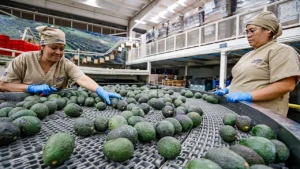 EU suspende las importaciones