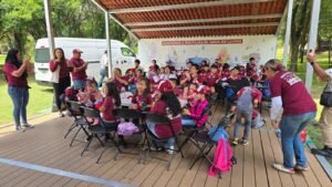 borrartest (16)