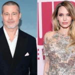 ¡Guerra millonaria! Brad Pitt exige revisar las cuentas bancarias de Angelina Jolie por su viñedo