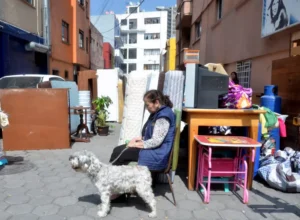 despojo de viviendas