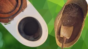 programa baños ecológicos Edoméx