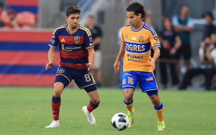 tigres real lake